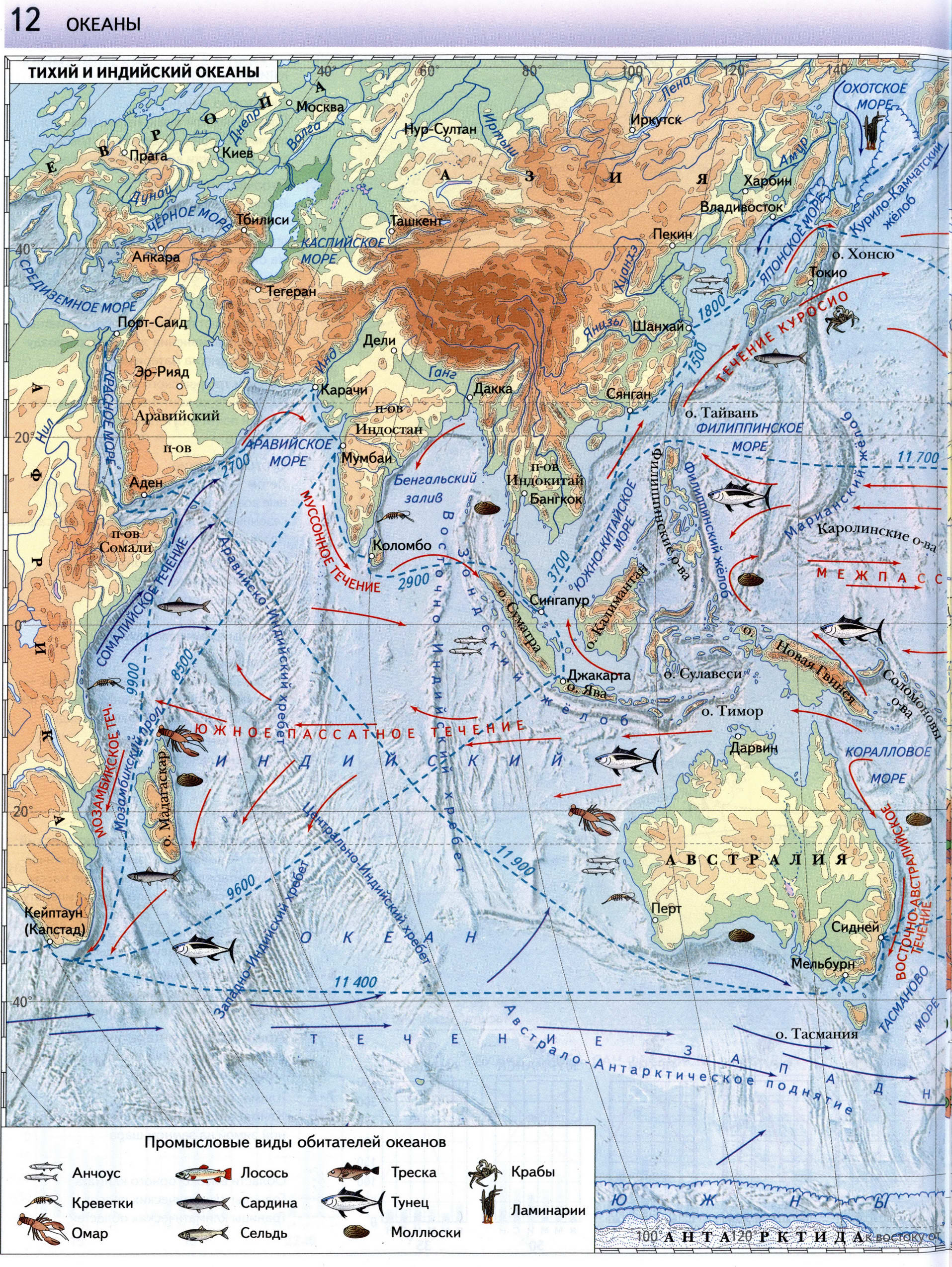 Атлас 7 класс Вентана Граф - Тихий и Индийский океан