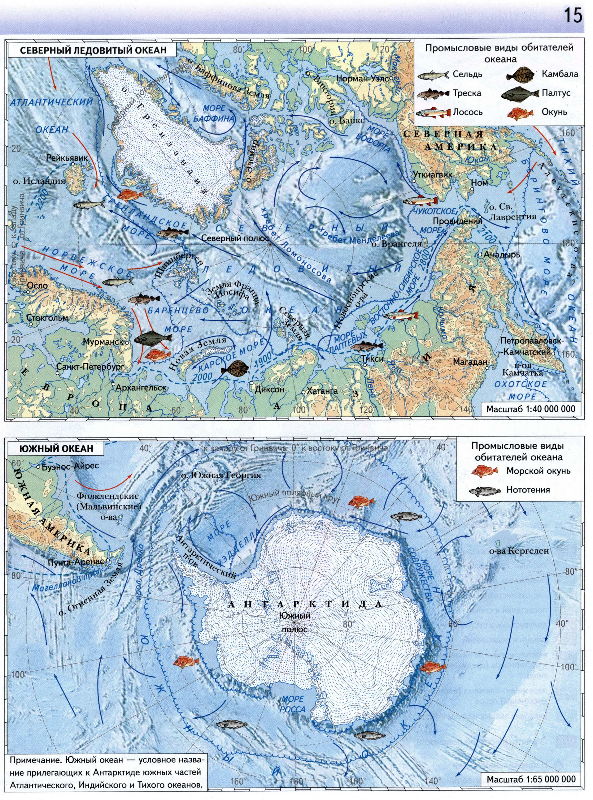 Атлас 7 класс Вентана Граф - Северный Ледовитый и Южный океан
