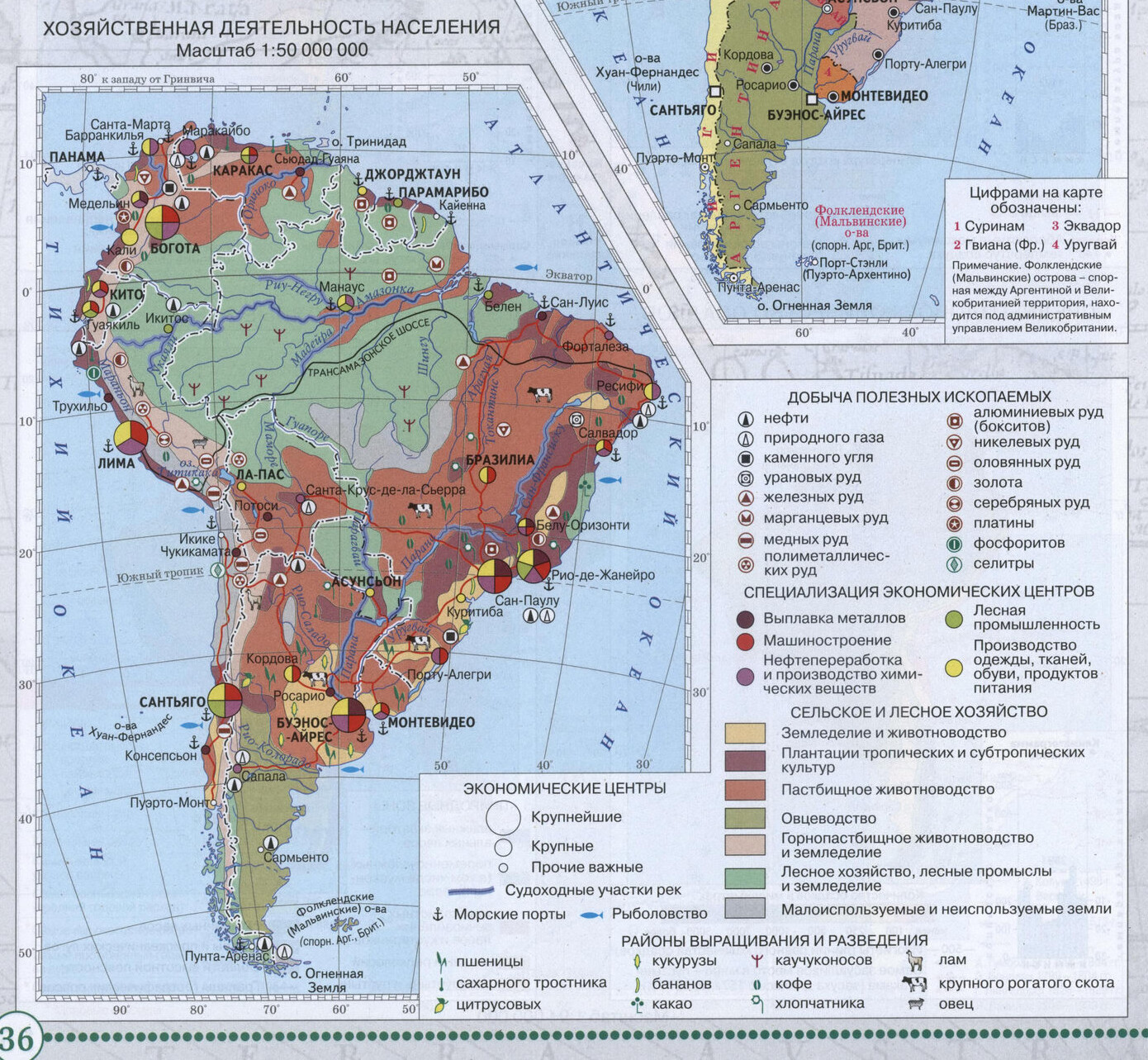 Южная Америка. Хозяйственная деятельность населения - Атлас по географии для 7 класса, издательство "Дрофа"