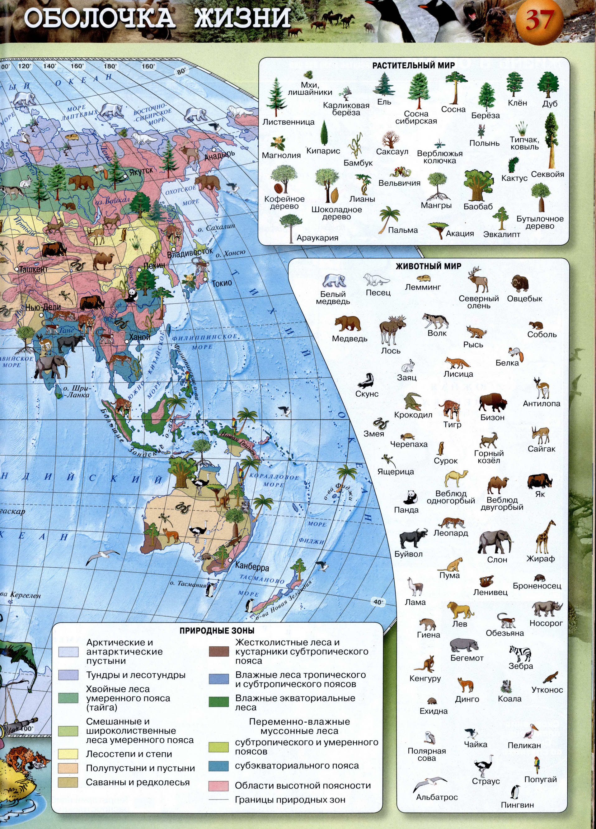 Стр 37 Атлас по географии 5-6 класс Просвещение Сферы