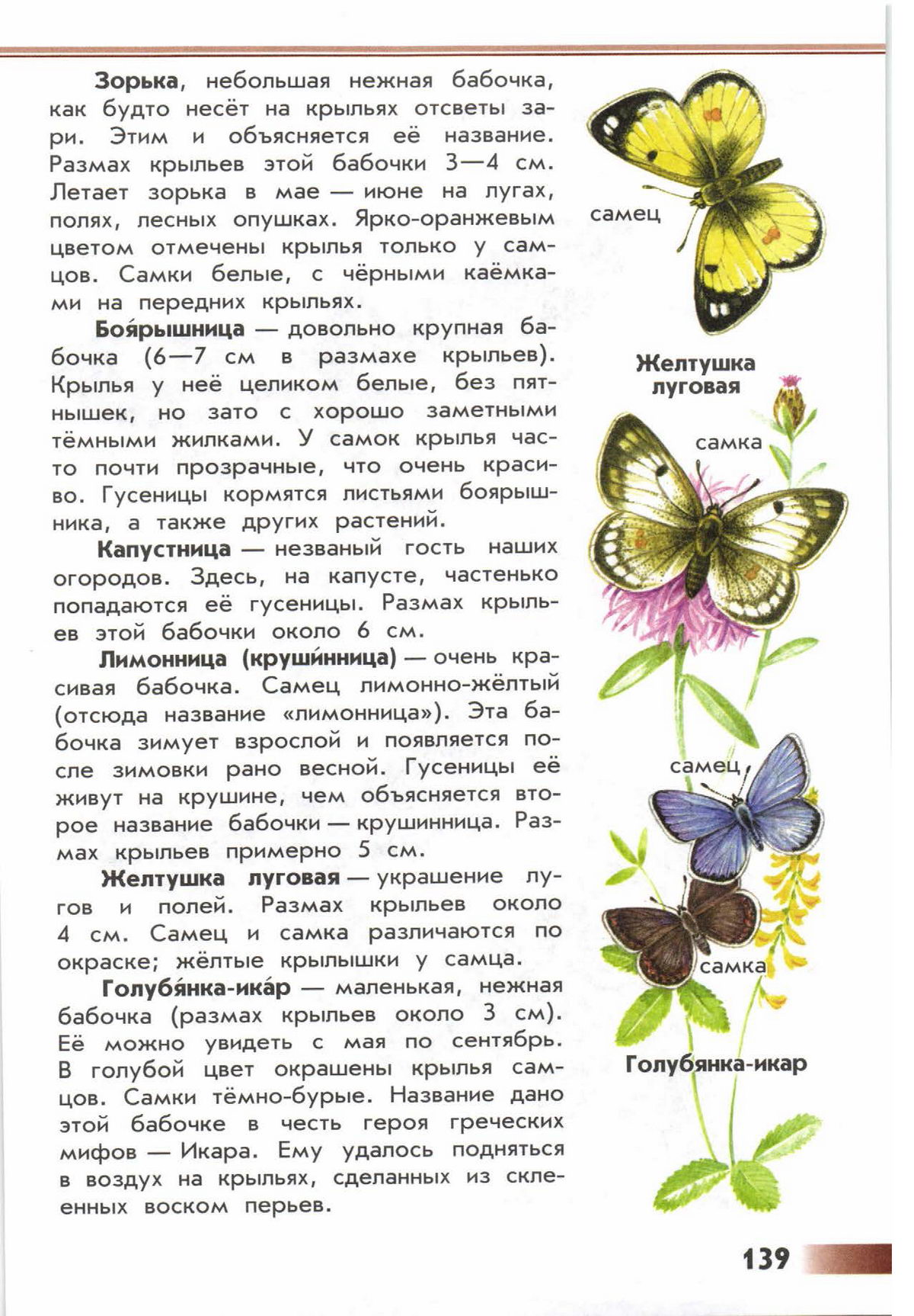 Зеленые страницы первые бабочки 2 класс читать