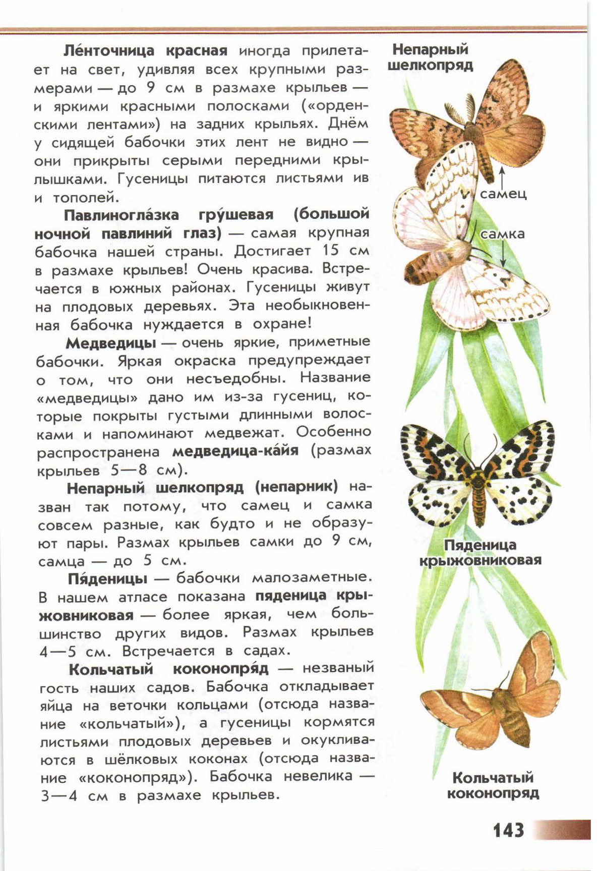 Книга зеленые страницы 2 класс первые бабочки. Атлас-определитель от земли до неба 2 бабочки. Атлас определитель Плешаков бабочки. Атлас определитель бабочек ночные. Атлас-определитель 2 класс окружающий мир бабочки.