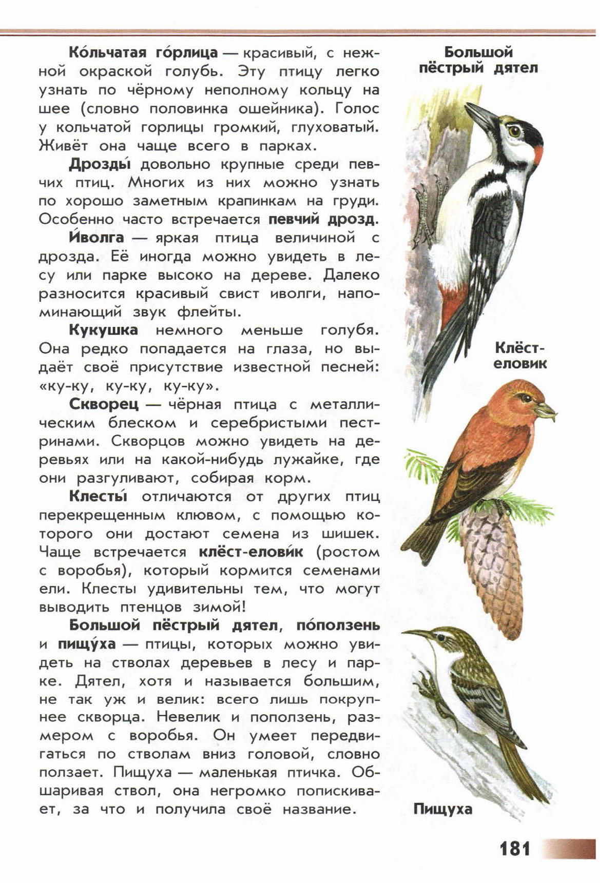 Чем питается дятел клест попугай. Атлас-определитель от земли до неба 2 класс окружающий мир птицы. От земли до неба ,атлас определитель,птицы лесов садов и парков. Атлас определитель птицы Плешаков. Атлас-определитель от земли до неба 2 класс птицы.