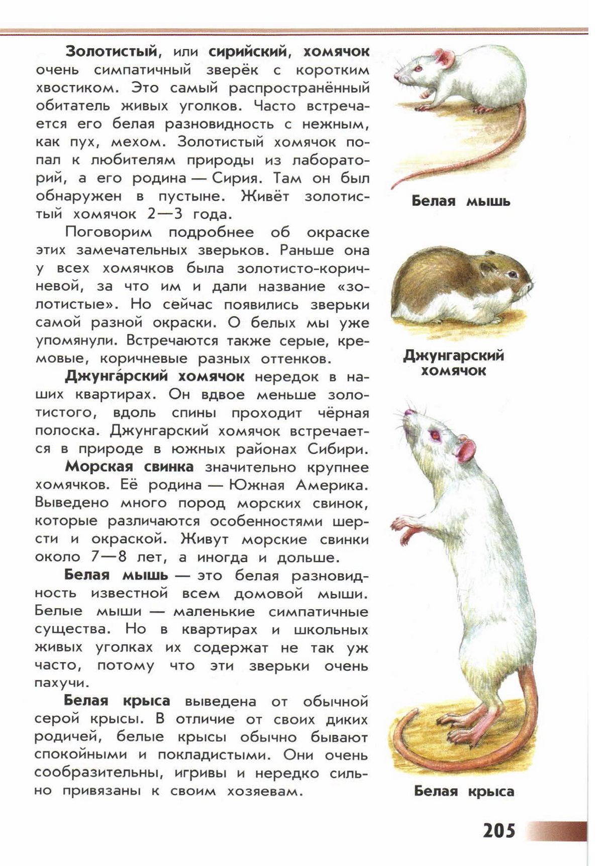 Атлас определитель животных 3 класс. Атлас-определитель окружающий мир 2 класс Плешаков животные. Атлас определитель от земли до неба хомяк. Атлас определитель от земли до неба про животных. Атлас определитель животных 2 класс.